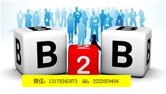 自動發(fā)布軟件棗莊新聞網(wǎng) 定西億凌云推廣